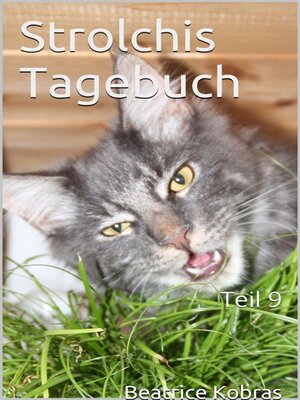 cover image of Strolchis Tagebuch, Teil 9